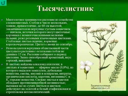 Сминать траву как пишется