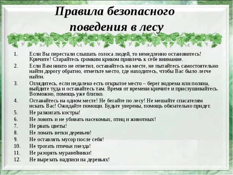 Правила поведения в природе 2 класс. Правила поведения в лесу. Привали поведения в лесу. Правила безопасности в лесу. Памятка поведения в лесу.