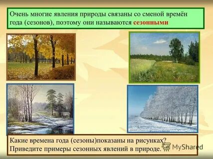 Явление природы времена года