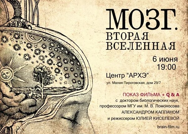 Brain 2 прохождение. Мозг вторая Вселенная. Мозг вторая Вселенная книга. Центр Архэ.