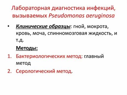 Инфекции вызываемые синегнойной палочкой