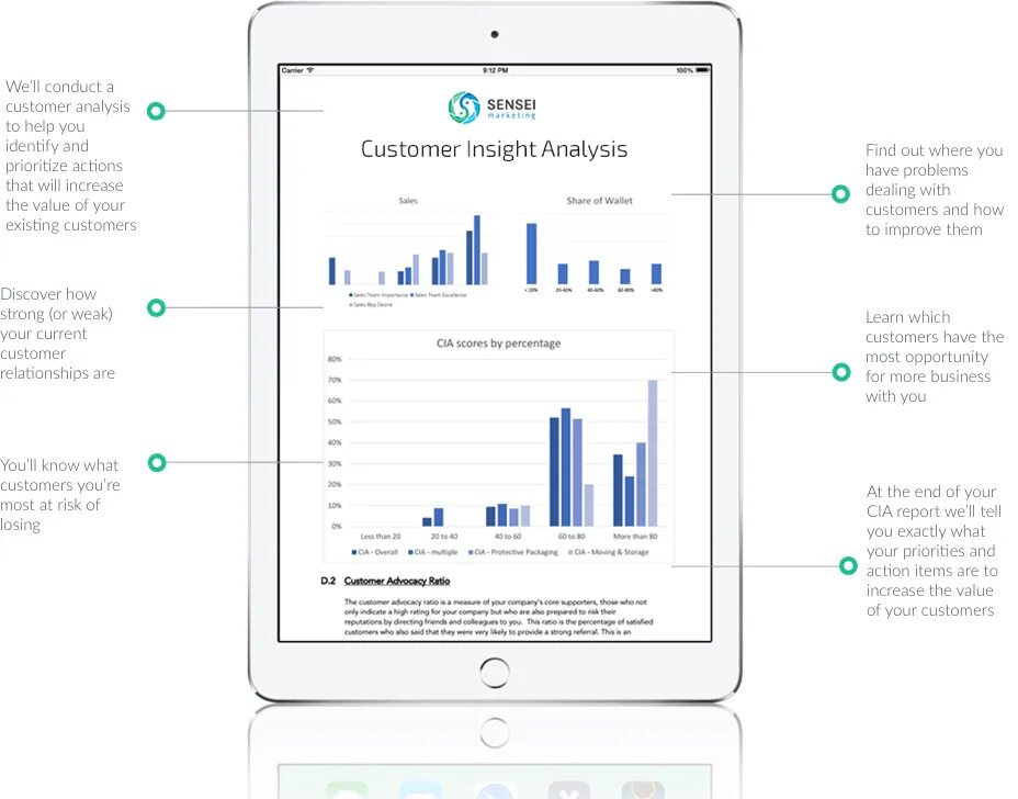 Insight analysis. Customer analysis.