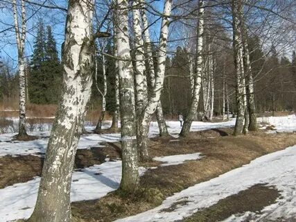 Откроется в апреле