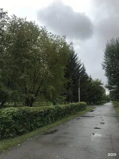 Сибтекстильмаш