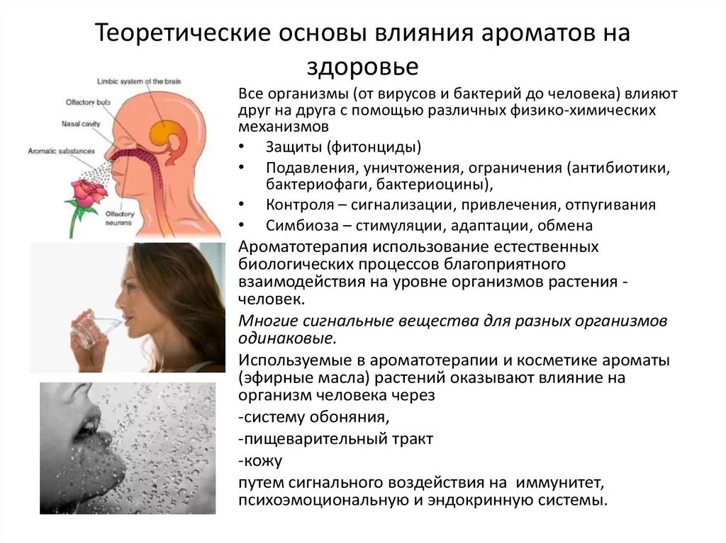 Влияние запахов на организм. Влияние запахов на человека. Влияние ароматов на организм человека. Как ароматы влияют на человека.