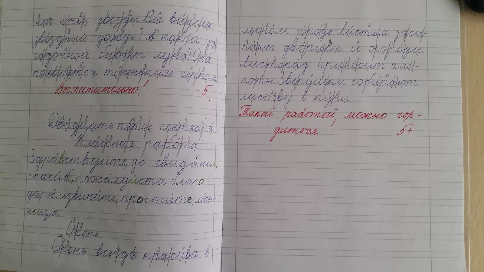 Оформление тетрадей в начальной школе по ФГОС. Идеи для оформления классной работы. Правильность оформления тетради по русскому языку. Как правильно оформлять тетрадь по русскому языку. Ведение тетради по русскому