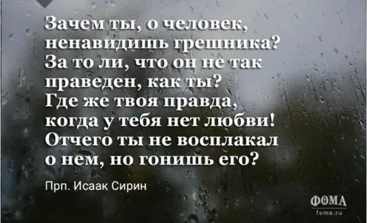 Любовь грешников. Ненавидь грех но люби грешника. Сочинение люби грешника и ненавидь грех. Ненавидеть грех и любить грешника. Сочинение на тему люби грешника и ненавидь грех.