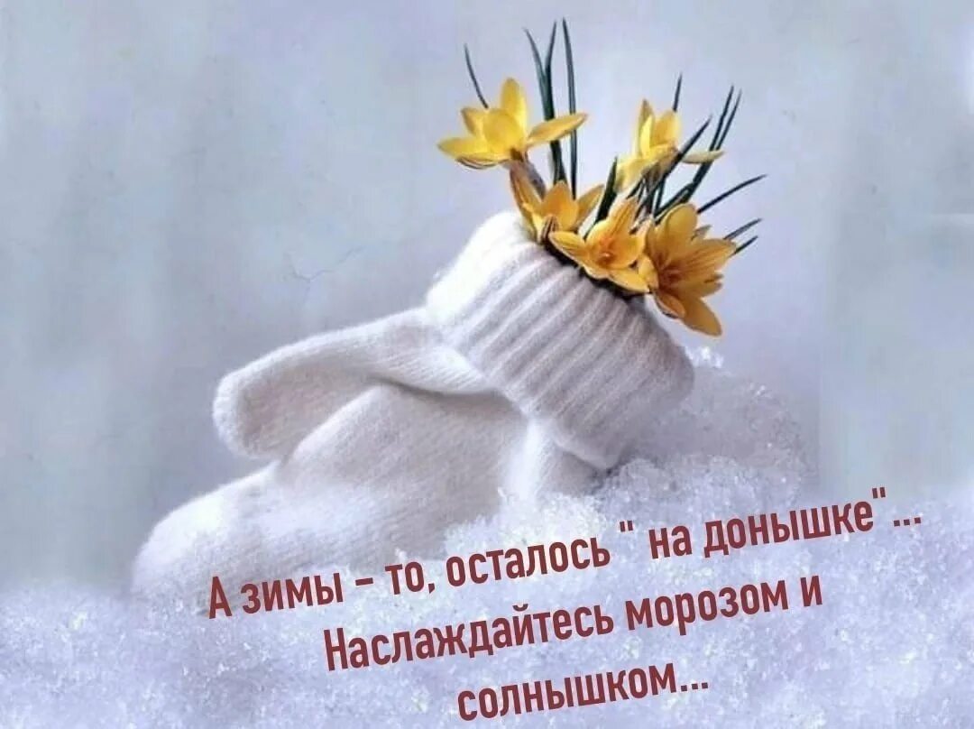 С последним днем зимы открытки красивые. Цветы в снегу. с последним днем зимы. уже хочется весны.