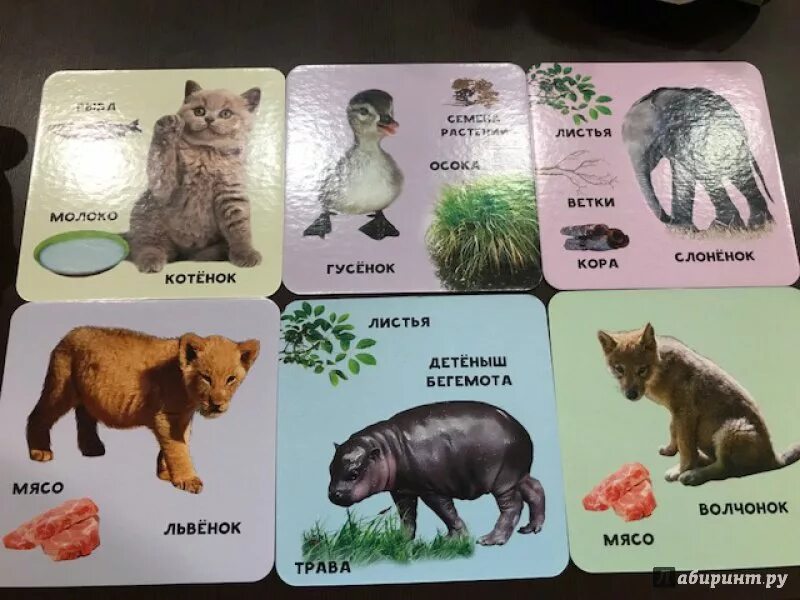 Детёныши животных и ихкарточки. Животные и их Детеныши карточки. Дикие животные и их детенышиrfhnjxrb. Карточки Домана животные и их Детеныши.