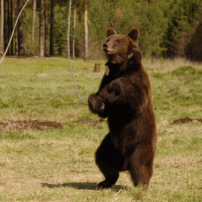 Вставьте пропущенные н или нн. Старинные пушки в крепостях. Рва ая. Разберите по составу выделенные причастия. Вал царицынской сторожевой линии.