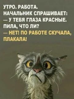 Буду скучать по работе