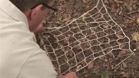 Making nets