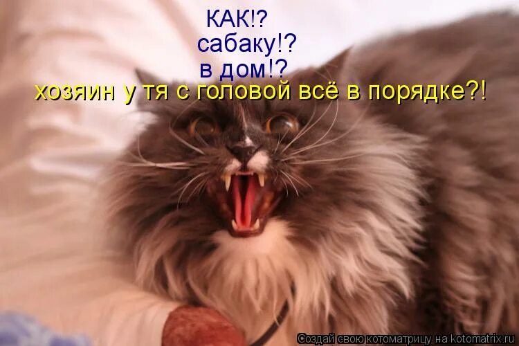 Ты нормальный мем. С головой все в порядке. Грустные надписи на стенах. У вас с головой все в порядке. Все ли в порядке с головой.