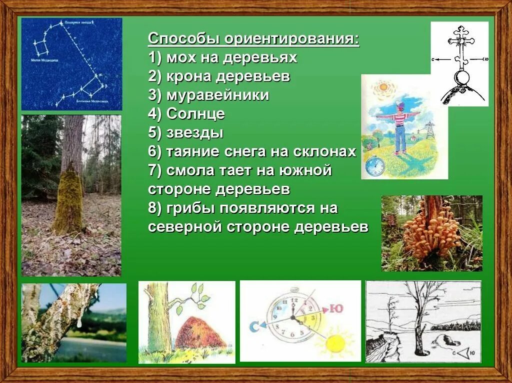 Сообщение о способах ориентирования. 5 способов ориентирования на местности. 8 способов ориентирования на местности. ориентирование на месте. природные ориентиры на местности.