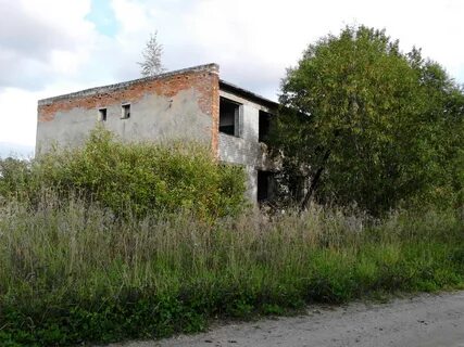 Погода в усадище