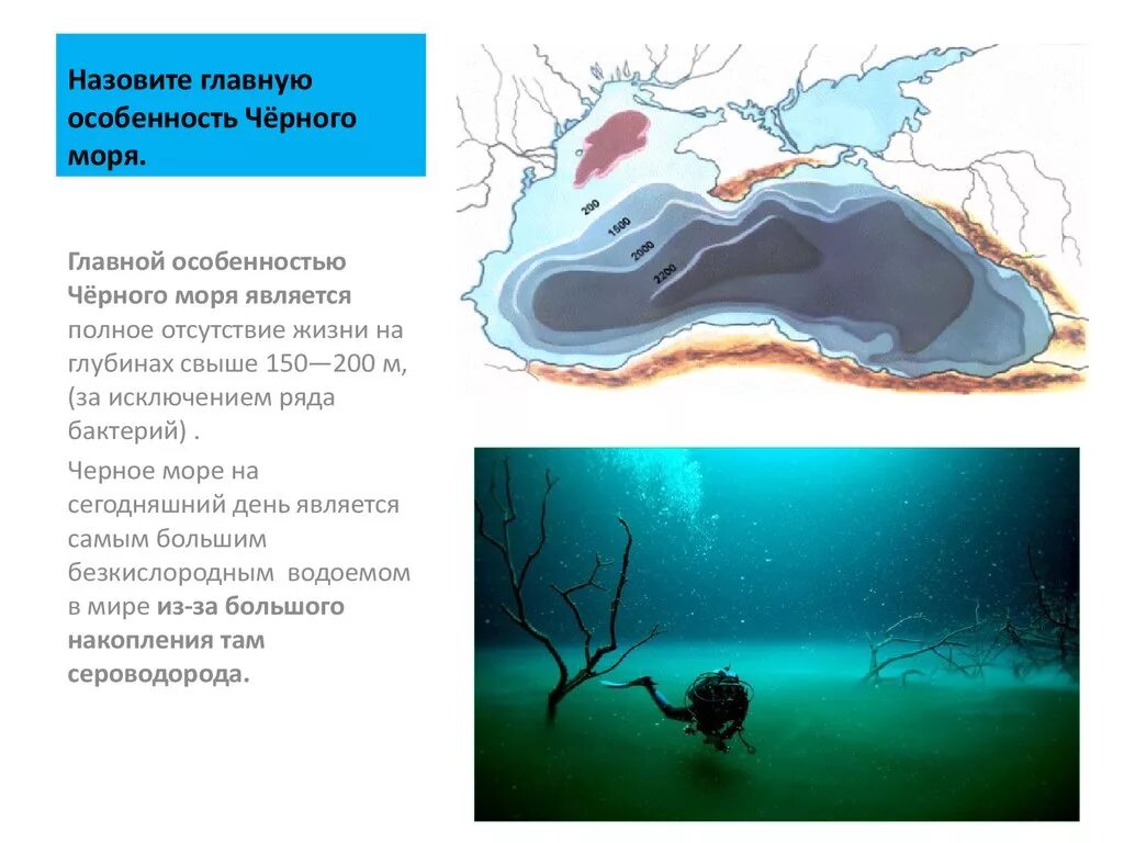 Тест на черном море. Максимальная глубина черного моря. Рельеф дна черного моря. Макс глубина черного моря. Чёрное море глубина рельеф.