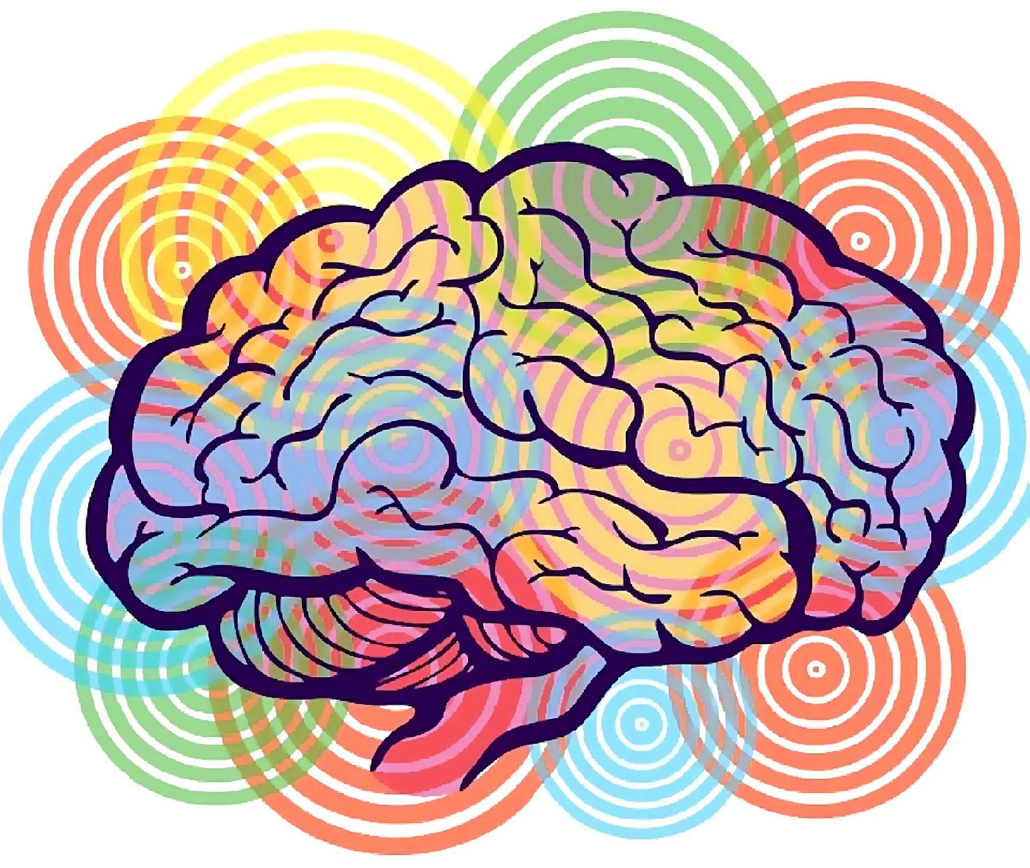 Фон с мозгами. Креативный мозг. Разноцветный мозг. Мозг арт.