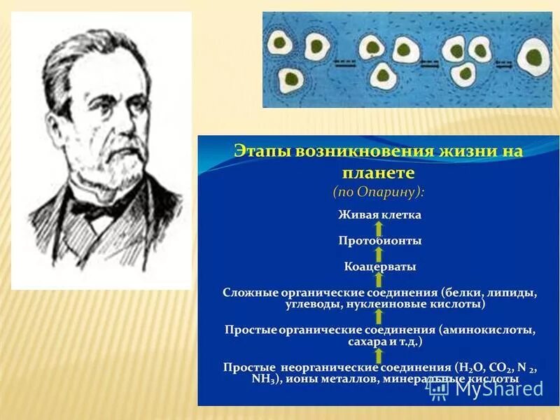 условиями основные из них. задача это определение. закон логики закон исключенного третьего. условиями основные из них. дать определение обратной функции.