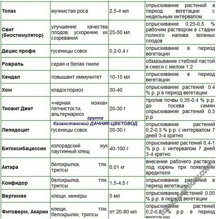 Таблица подкормки помидор в теплице. Таблица поэтапного внесения удобрений для томатов. Таблица удобрений для помидор. Таблица подкормки и обработки томатов в теплице.