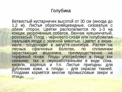 О 4 сообщений