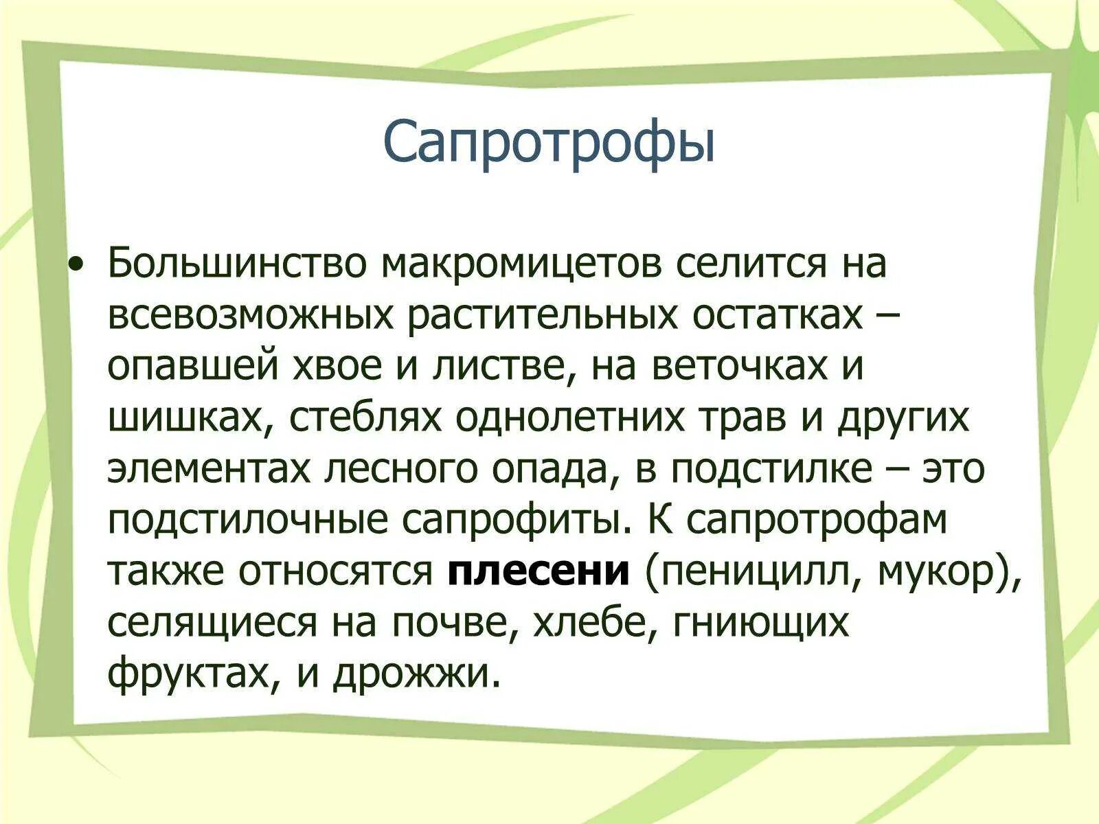 Грибы сапротрофы это. Сапротрофы. Сапротрофы презентация. Определение сапротрофы. Сапротрофы это кратко.