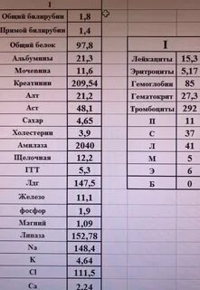 Оак бак