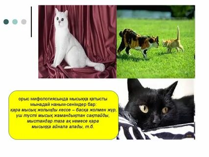 Гарри Поттер Гермионаны Гермионамен жыныстық қатынасқа түсіреді