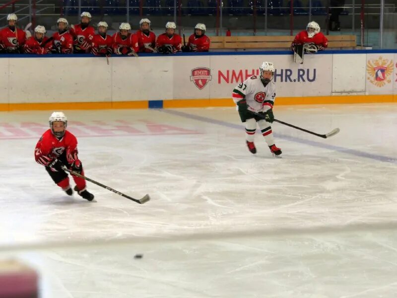 пфо хоккей 2012 год рождения. пфо хоккей 2012 группа б. мордовия 2007 хоккей. пфо хоккей 2011 хк комета. пфо хоккей 2011.