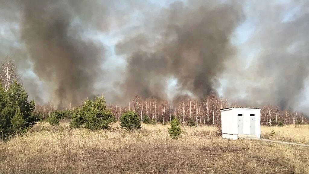 Деревня пал. Спасский район пожар. Травяные палы в деревне. Пожар в Касимове. Сергеевка Рязанская область пожар.