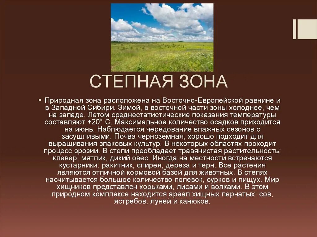 Природные зоны восточной равнины. Степная зона Западной Сибири. Зона степей охрана природы. Охрана Степной зоны. Особенности природы Степной зоны.