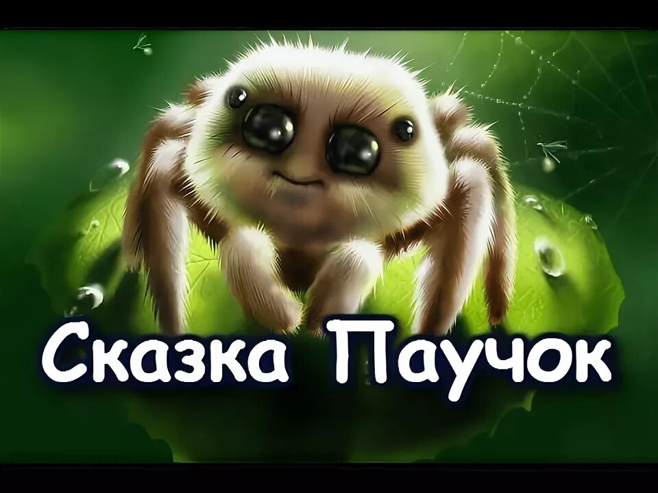 Театрализованное представление сказка про паучка. Сказки про пауков. Сказка про паучка афиша. Паучок с днем рождения. Сказкапропаучка борьку.