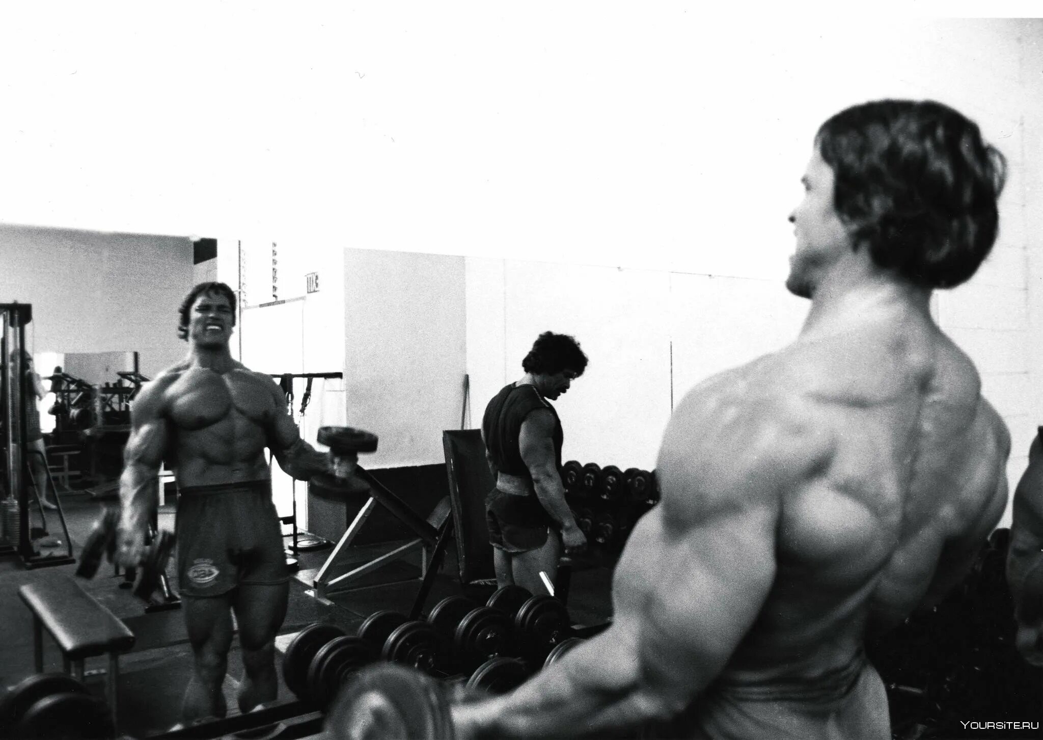 Шварценеггер песня. Arnold schwarzenegger в молодости. золотая эра бодибилдинга шварценеггер.