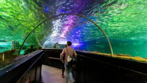 Sea centre