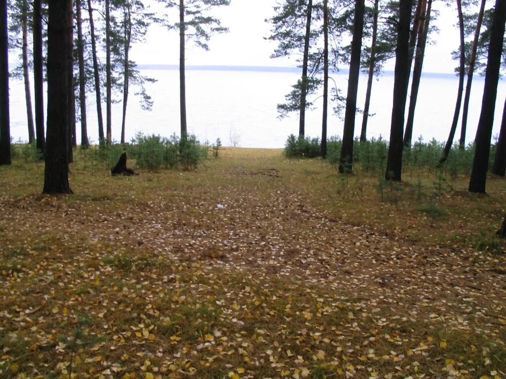 Погода ордынске новосибирская. Нижнекаменка Ордынский. Село Нижнекаменка Ордынского района Новосибирской области. Никитан Нижнекаменка Новосибирская область. Нижнекаменка Ордынский район 20024 год.