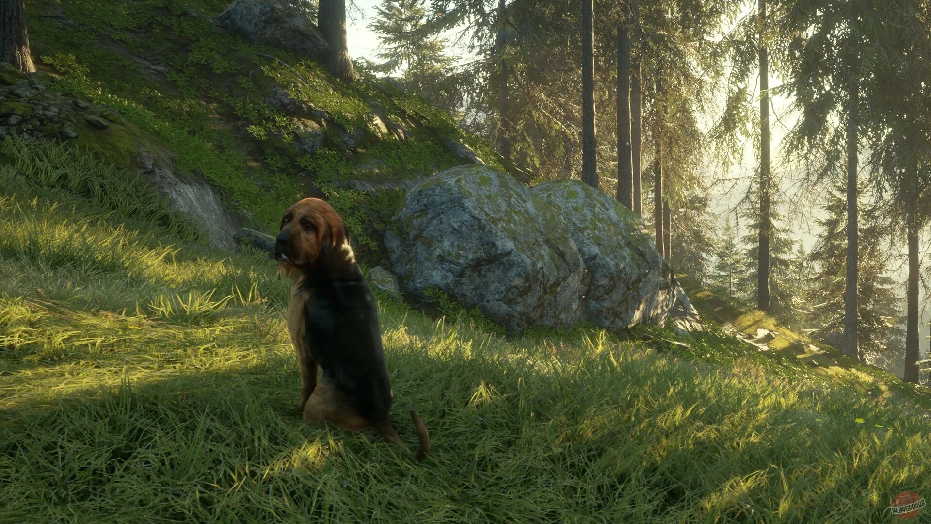 Call hunting. Игра the hunter call of the wild. thehunter: call of the wild™ - bloodhound. the hunter call of the wild 2025. hunt call of the wild.