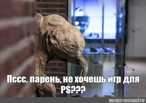 Мем псс. Пссс. пссс парень мемы. псс парень мем шаблон. пссс не хочешь.