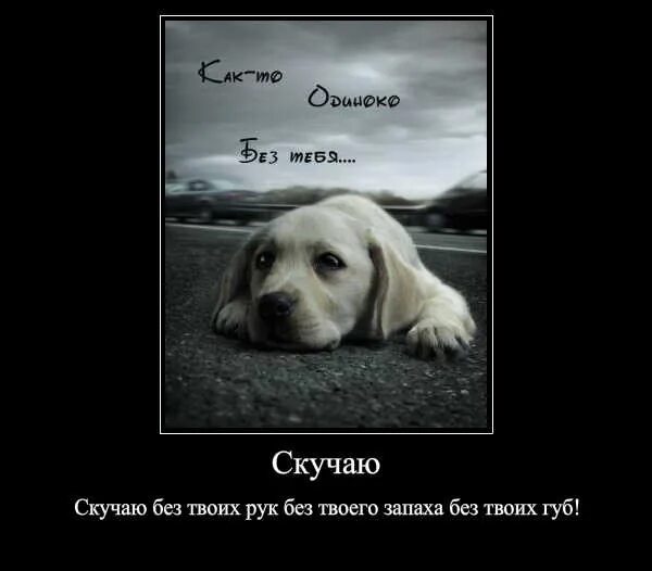 Скучно нет друзей