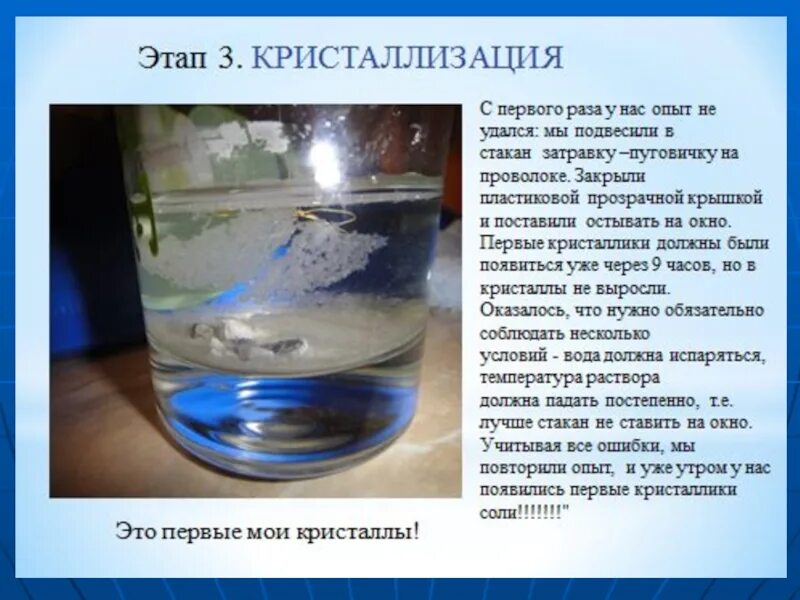 Почему в воде кристаллы. Почему в воде кристаллы. Масару эмото. Масару эмото. Почему в воде кристаллы.