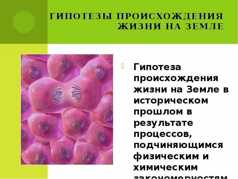 Сообщения гипотезы возникновения жизни на земле. Гипотезы происхождения жизни. гипотезы происхождения жизни на земле. 5 гипотез возникновения жизни на земле. таблица по биологии 9 класс гипотезы возникновения жизни.