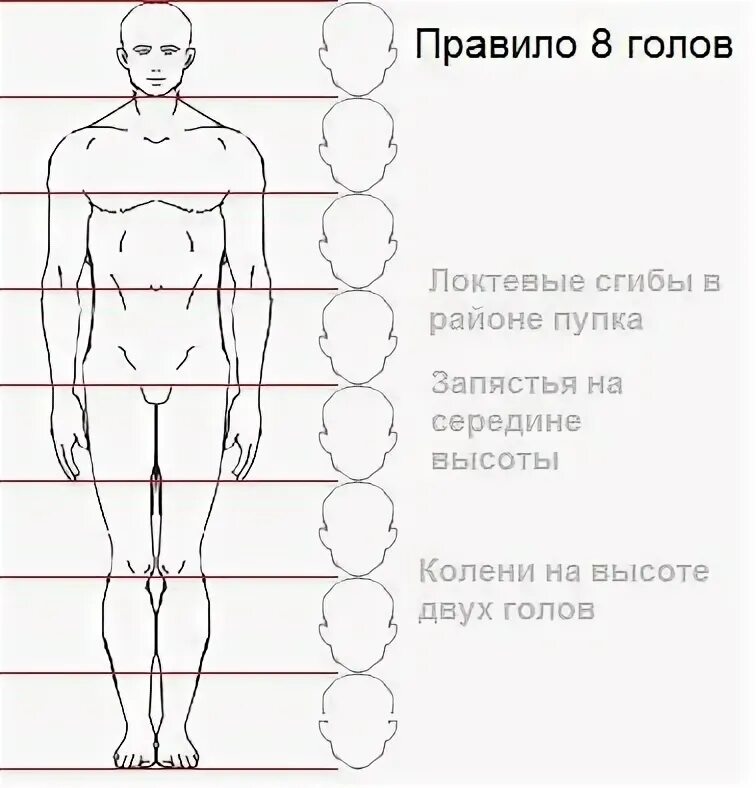 Правила изображения людей