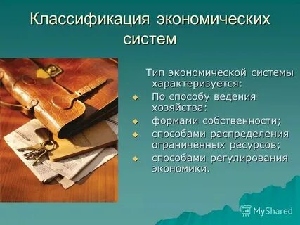 Система уроков экономики