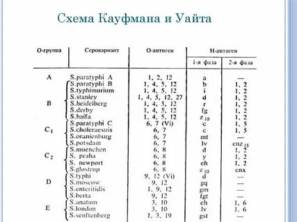 Классификация кауфмана уайта сальмонелл