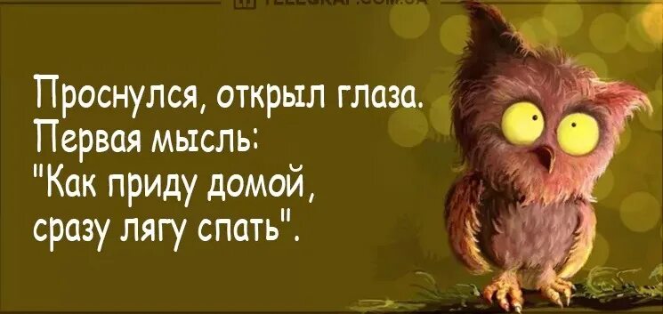 Глазки открывай просыпайся. Проснулась открыла глаза первая мысль. Приду домой и лягу спать. Приду домой сразу лягу спать. Глазки вставай