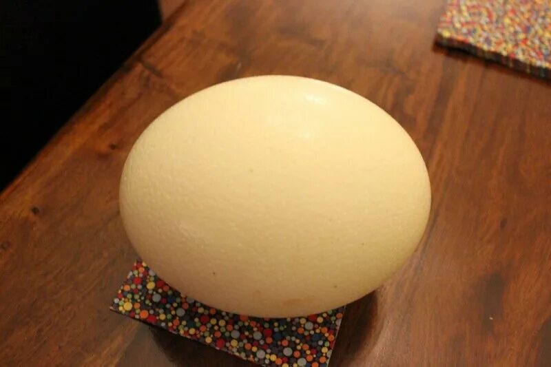 горосей сатурн ван пис. человек с головой в форме яйца. арка яичной головы. яйцо страуса строение. арка яичной головы.