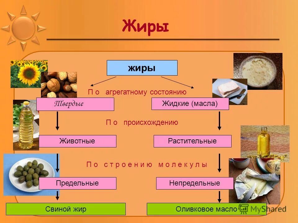 Классификация жиров по происхождению и по агрегатному состоянию. Жиры растительного происхождения. Жиры классификация строение. Растительные и животные жиры. Масло твердое или жидкое