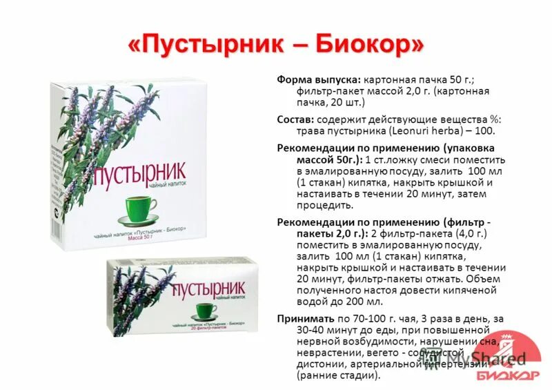 Пустырник для чего применяется. Пустырник для чего применяется
