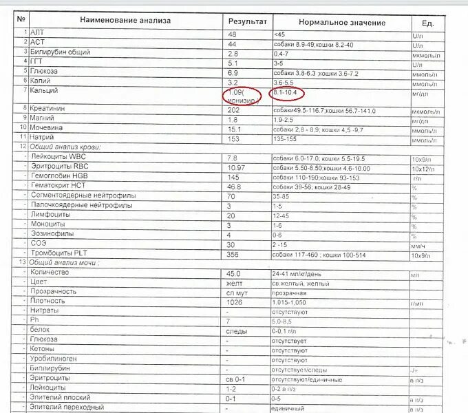 Понижен ионизированный кальций в крови. Анализ на кальций. Анализ крови на кальций. Анализы -показатель кальция. Анализ кальций общий.