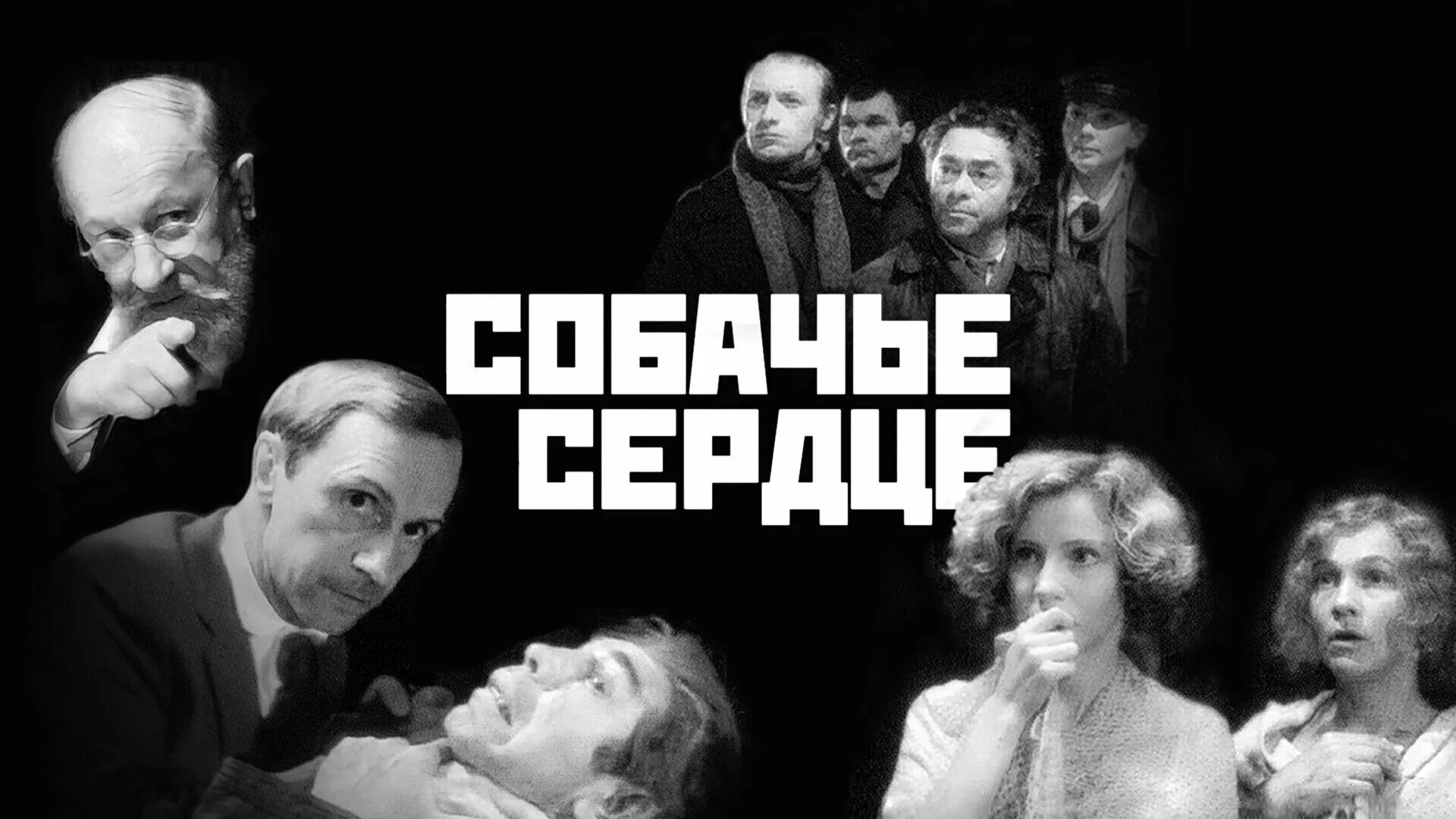 жанр произведения собачье сердце. анализ произведения собачье сердце булгаков. рассказ собачье сердце. сюжет повести собачье сердце. пьеса собачье сердце.