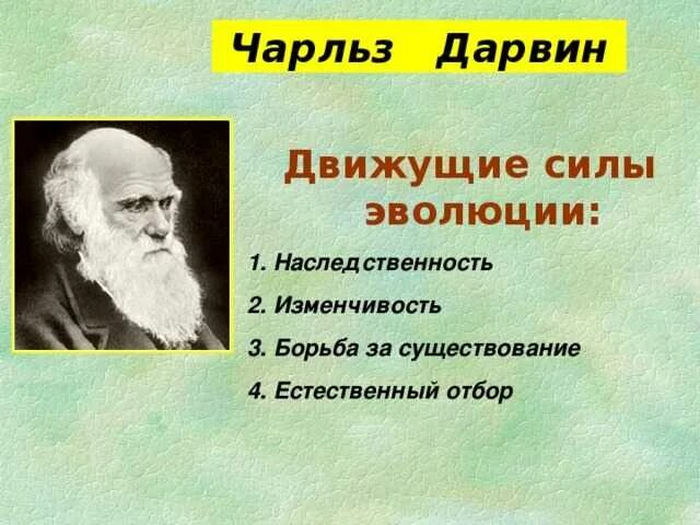 Учения о движущих силах эволюции. Учения о движущих силах эволюции