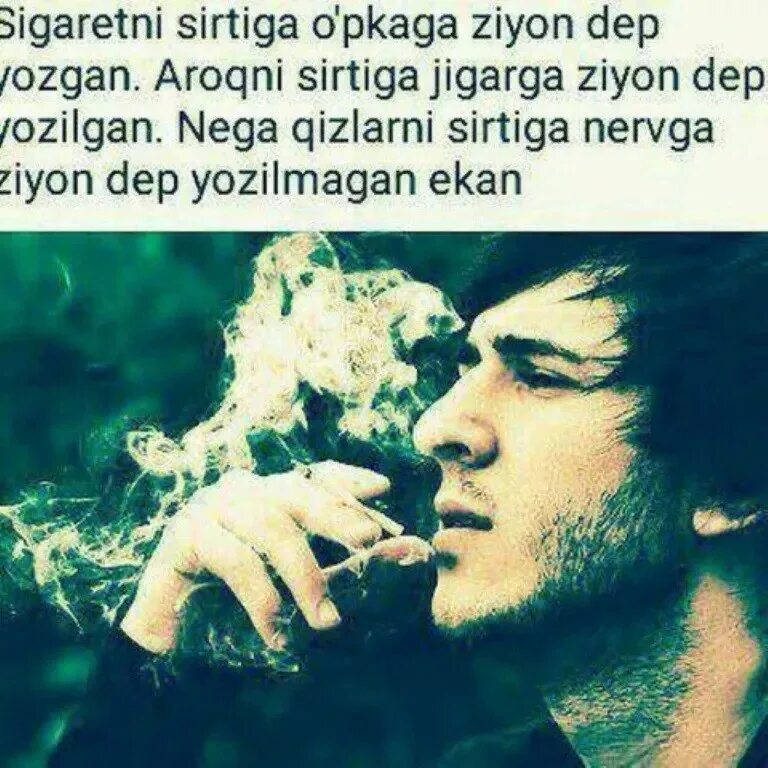 Gozal yigitlar
